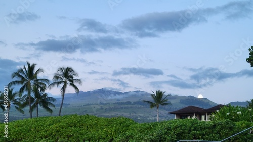 tropical landscape with palm trees. Maui Halaeakala moonrise.
