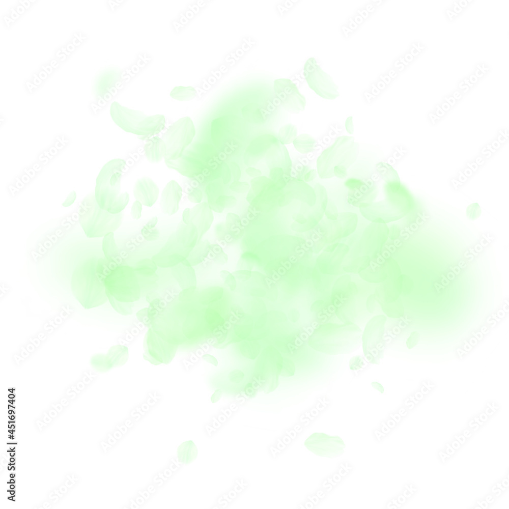 Green flower petals falling down. Incredible roman Green flower petals falling down. Incredible roman