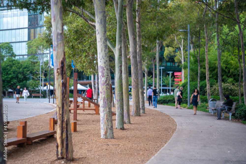 オーストラリアのシドニーにある観光名所を観光している風景 Scenes of sightseeing in Sydney, Australia. オーストラリアのシドニーにある観光名所を観光している風景 Scenes of sightseeing in Sydney, Australia.