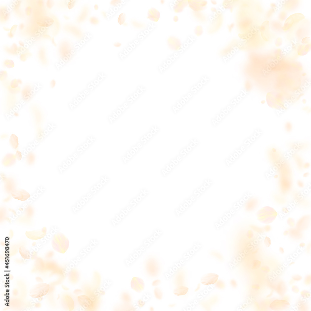 Yellow orange flower petals falling down. Bewitchi Yellow orange flower petals falling down. Bewitchi