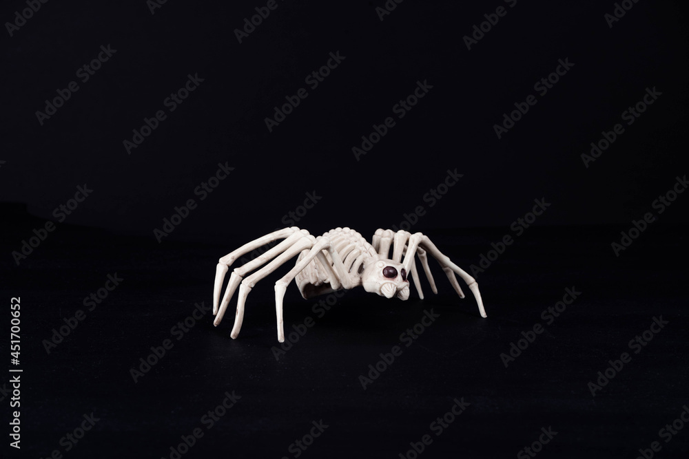 Fototapeta premium Araña