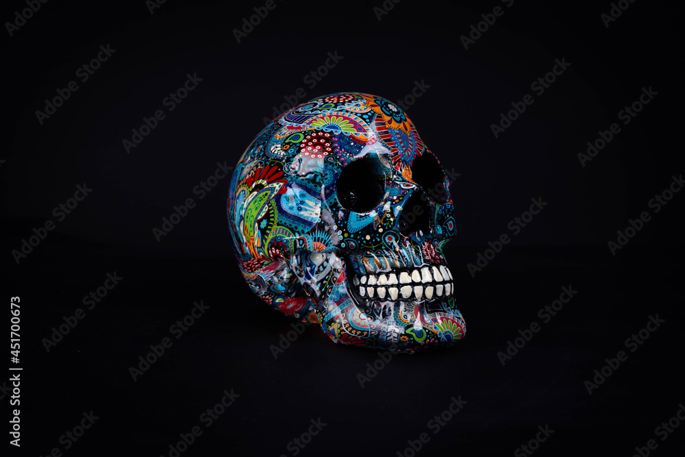 Fototapeta premium Calavera