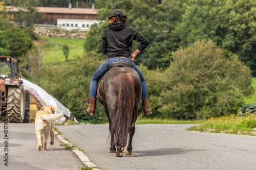 Take part in traffic with dog and horse. Horses and dogs as road user. Riders as vulnerable road user. A woman rides her horse on a country road with her dog nearby