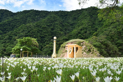 montaña