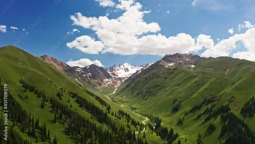 Nalati grassland and snowy mountains in a fine day. Nalati grassland and snowy mountains in a fine day.