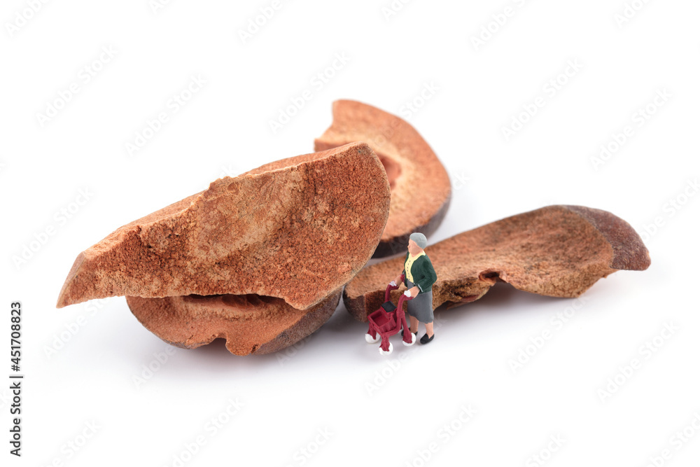 Old man model on important dried papaya Old man model on important dried papaya