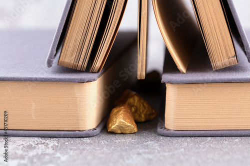 Принти на полотні Books and gold nuggets imply that there is a gold house in the book