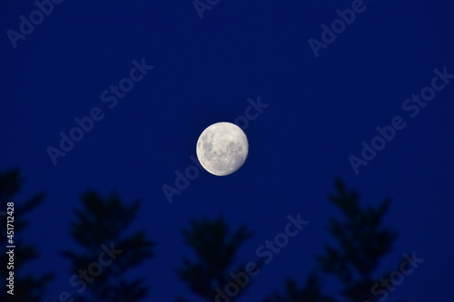 luna