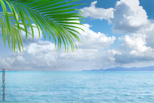 Fototapeta Naklejka Na Ścianę i Meble -  Blurred palm leave over sea view background, tropical palm tree with copy space, summer background  for mockup backdrop.