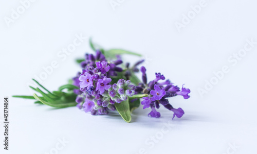 Bouquet of lavender on a white background. Selective focus. Copy space