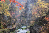 Pictures of autumn valleys in Japan with autumn leaves.