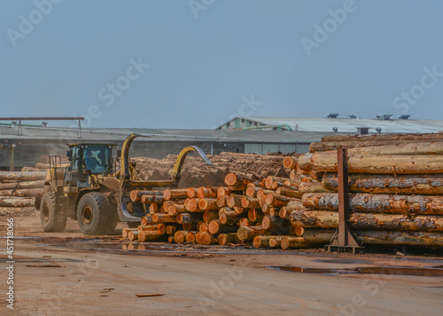 Logs stacked at the lumber mill ready to be cut into lumber. Located in Eureka, Humboldt County, California