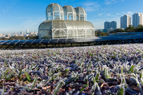 Foto Frost in the Botanical Garden of Curitiba.