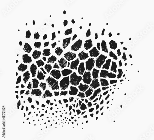 Detail drawn vector giraffe texture print pattern