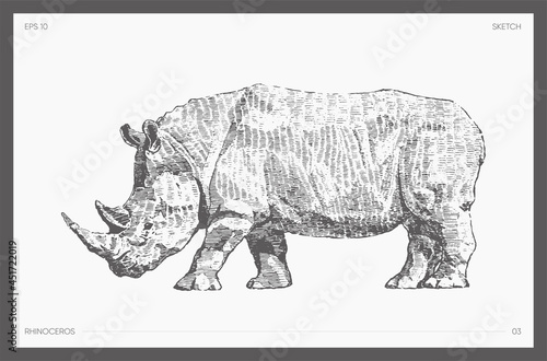 Detail drawn vector of rhinoceros realistic a sketch © Alexandr Bakanov