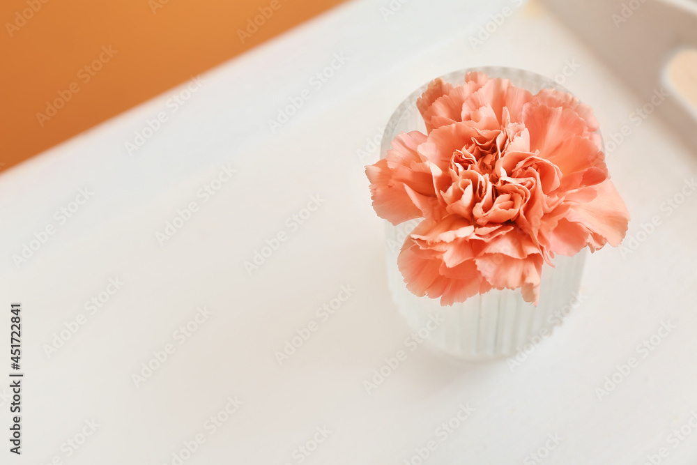 Vase with beautiful carnation flower on table Vase with beautiful carnation flower on table