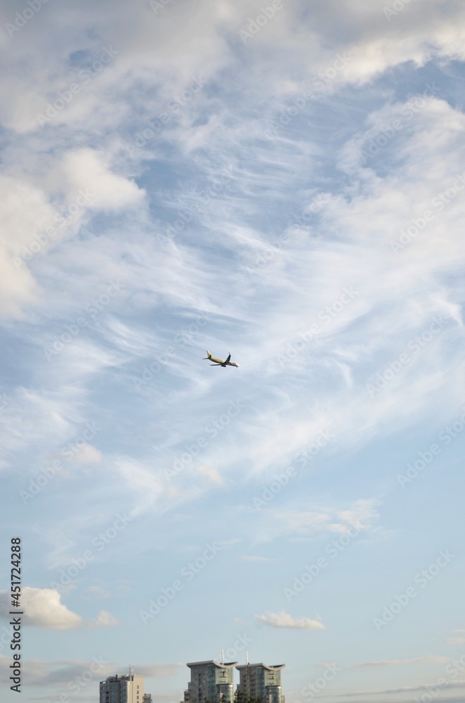 Fototapeta premium seagull in flight