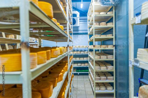 A Cheese dairy in a warehouse with shelves full of cow and goat cheese. Cheese wheels in yellow and white, various varieties with mold. Environmentally friendly products.