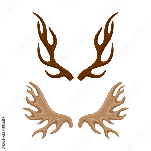 Antlers set. Horny hunting trophy of reindeer, deer, moose animals vector illustration