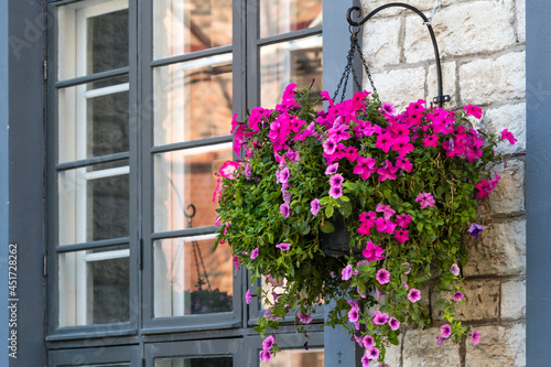 Facade of a building with windows and flowers. © Aleksandr