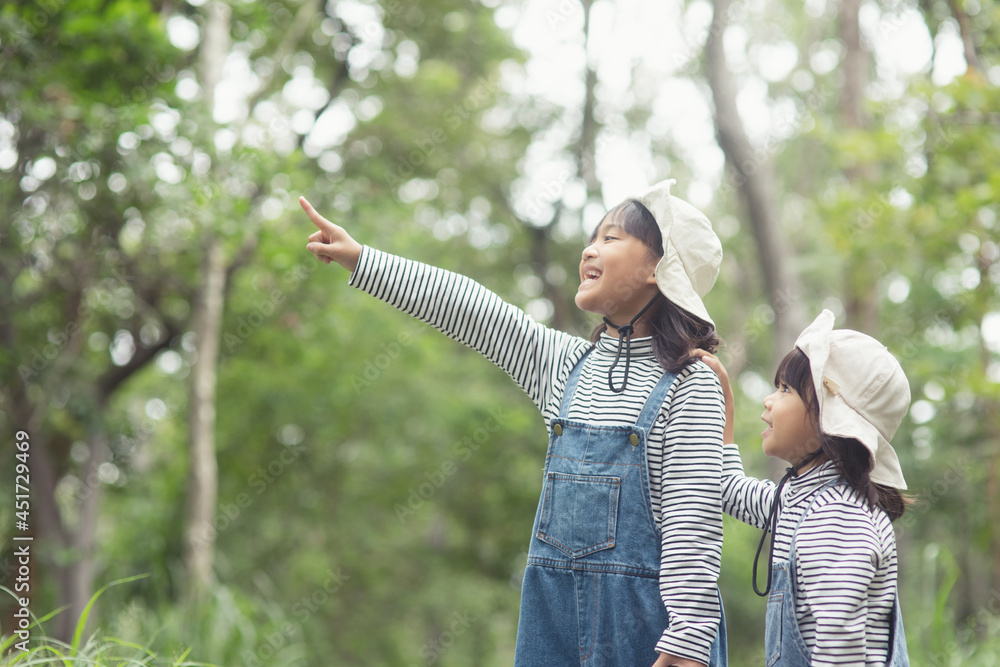 Children are heading to the family campsite in the forest walk along the tourist route. camping road. family travel vacation concept. Children are heading to the family campsite in the forest walk along the tourist route. camping road. family travel vacation concept.