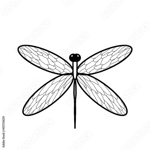 Dragonfly illustration doodle black line 