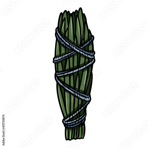 Cedar smudge stick tied with thread hand-drawn doodle isolated icon. Vector stock plant leaves image. Herb bundle
