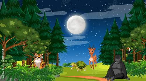 Photography Forest at night time scene with different wild animals