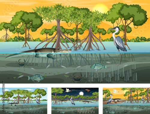 Different mangrove forest landscape scenes with animals and plants
