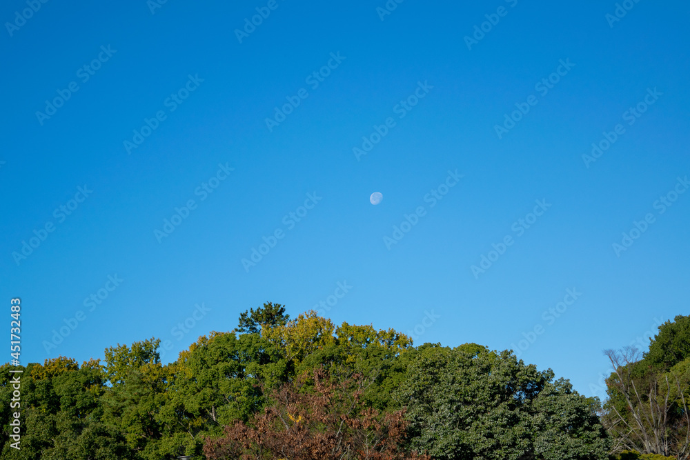 Obraz premium 秋晴れの空に月