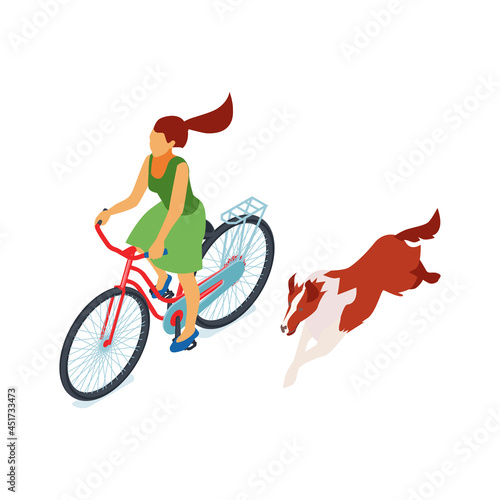 Bicycle Riding Dog Composition