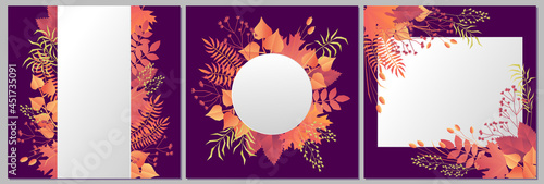 Set of autumn floral frames. Three square postcards with fall leaves and grass on purple background. Autumn mood  templates