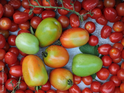 Cherry tomatoes with Roma Tomatoes on a grey background