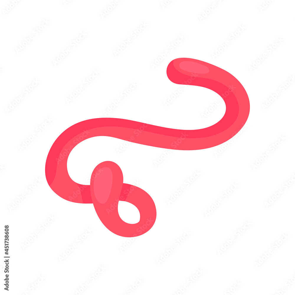 Worm Shaped Bacteria Composition Worm Shaped Bacteria Composition