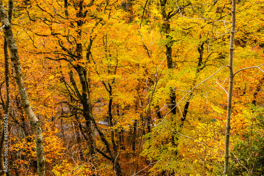 Autumn in Ordesa and Monte Perdido National Park, Spain