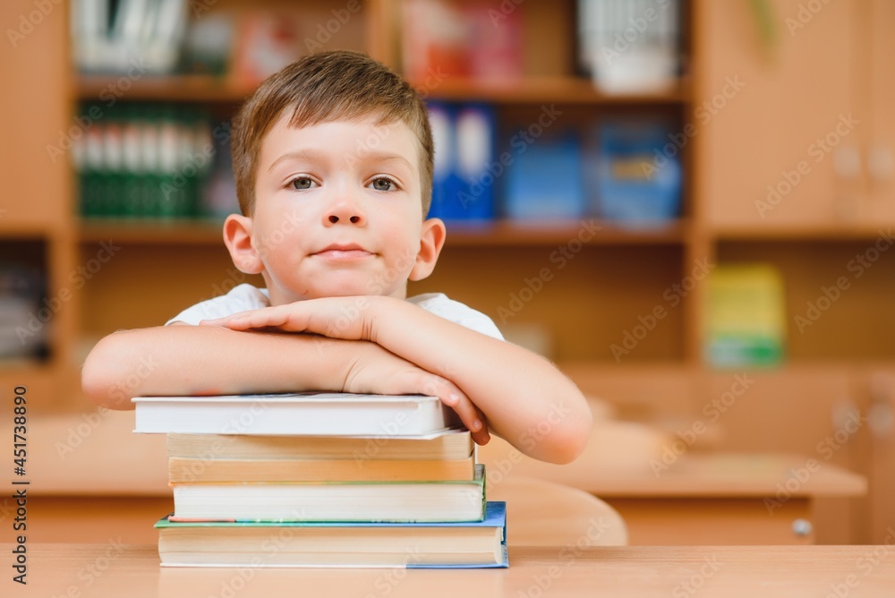 education and school concept - smiling little boy with many books at school education and school concept - smiling little boy with many books at school