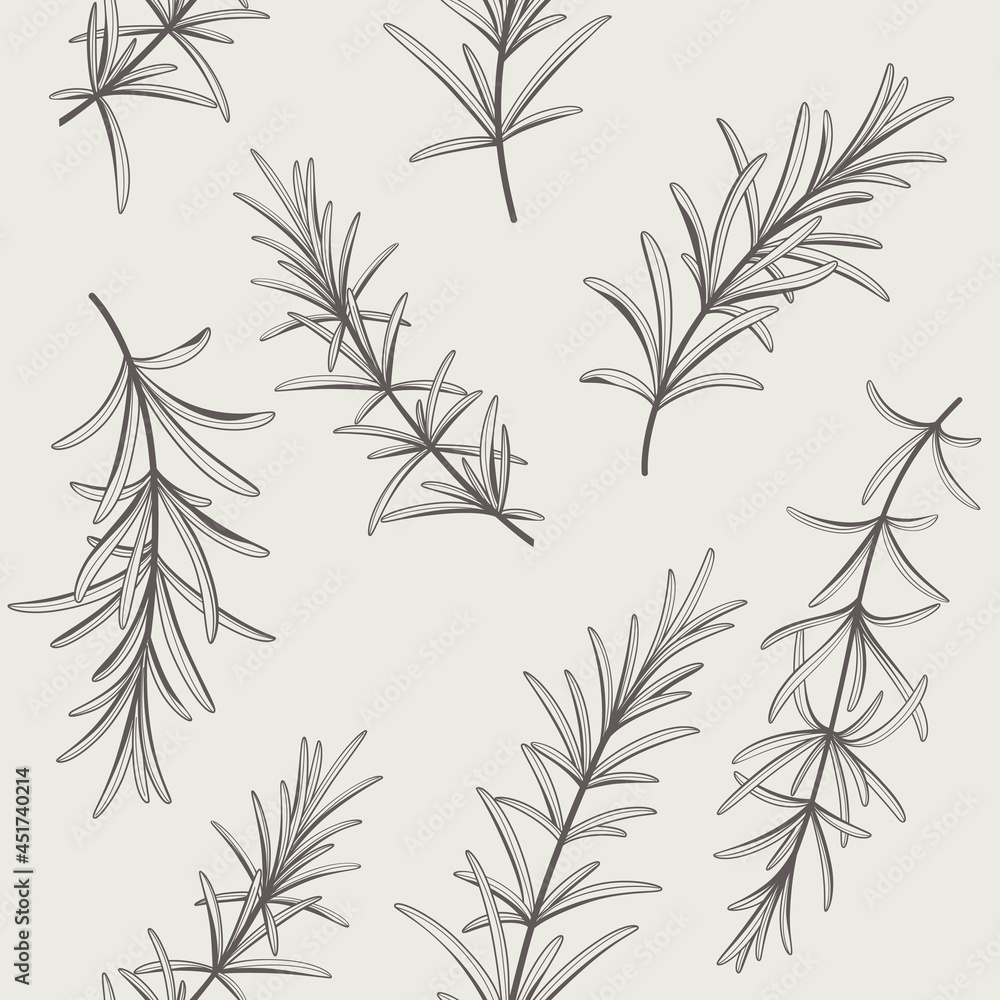 Naklejka premium Branch of rosemary. Trendy pattern with twig. Contour vector detail illustration.