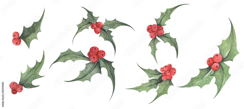 Set of Holly plant. Red Berries and Green Leaves. Botanical Illustration of Holly. Watercolor illustration. Christmas and New Year symbol decorative elements.