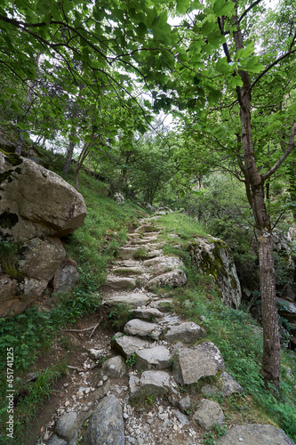 Stone path surrounded by vegetation that climbs towards a mountain