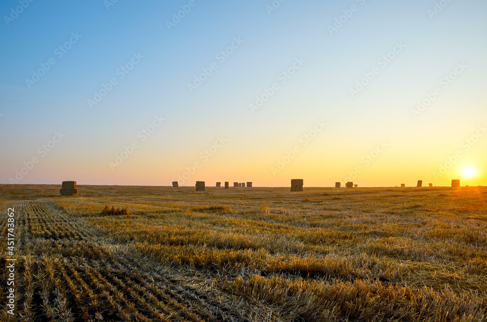 Haystacks in field