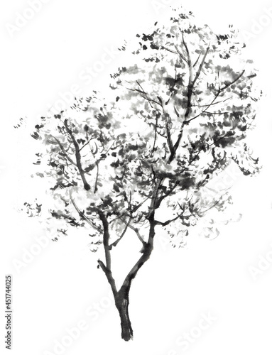 水墨画技法で描かれた樹木