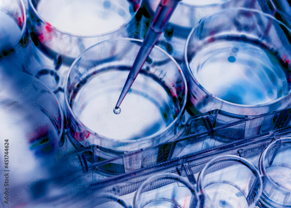 © Science RF - Biotechnology research © Science RF - Biotechnology research