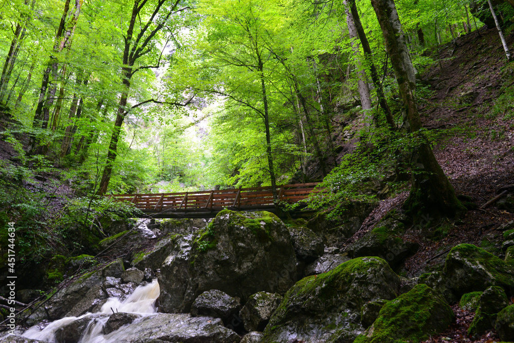 Klauser Wasserfall bei Mellau, Bezirk Bregenz in Vorarlberg Klauser Wasserfall bei Mellau, Bezirk Bregenz in Vorarlberg