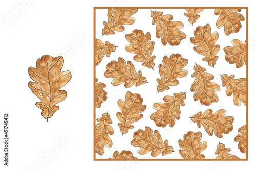 Set of autumn leaves - Brown oak leaf isolated on white background and seamless pattern. Watercolor illustration. For banner  flyer  textile.