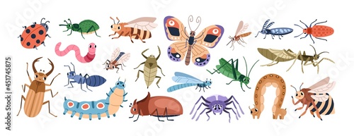 Cute cartoon insect characters set. Funny happy small bugs, butterflies,  caterpillars, grasshoppers, beetles, worms, bees and ants. Childish flat  vector illustrations isolated on white background Stock Vector | Adobe Stock