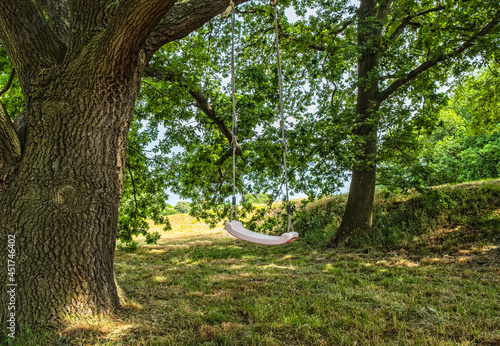 Empty tree swing on the roof of Naarden fortress, Noord-Holland Province, The Netherlands photo