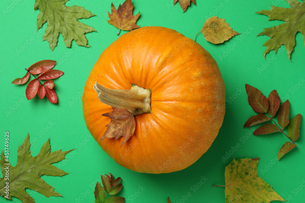 Thanksgiving Day composition with pumpkin on green background