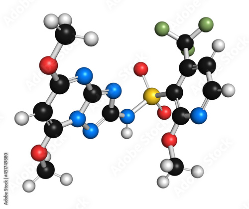 Pyroxsulam herbicide molecule, illustration photo