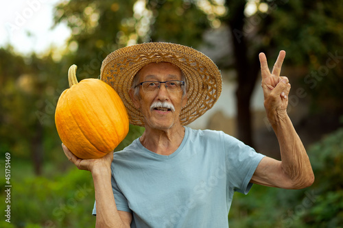 Elderly senior farmer wearing strawy hat holding big yellow pumpkin in hands showing victory sign. agriculture concept photo