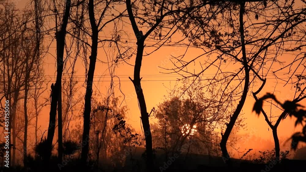 the sun rises in the forest in the early morning with natural sound the sun rises in the forest in the early morning with natural sound